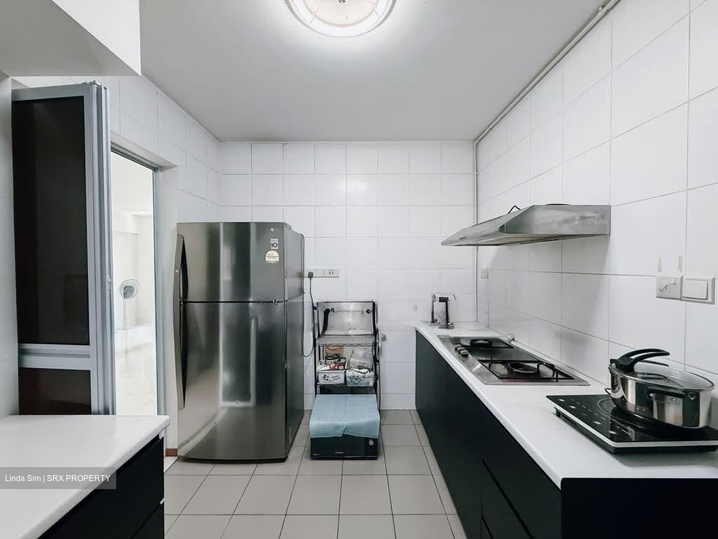 Blk 1E The Pinnacle@Duxton (Bukit Merah), HDB 4 Rooms #602751211